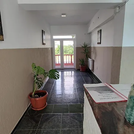 Casa Tatiana 招待所 艾福雷诺德